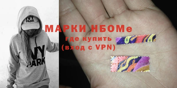 дживик Ельня