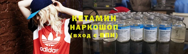 сатива Заводоуковск