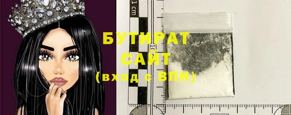 дживик Ельня