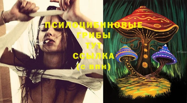 соль ск Елизово