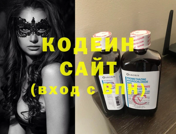 дживик Ельня