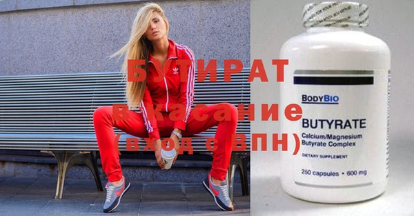 дживик Ельня