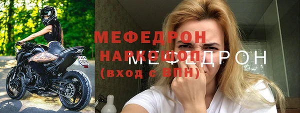 дживик Ельня