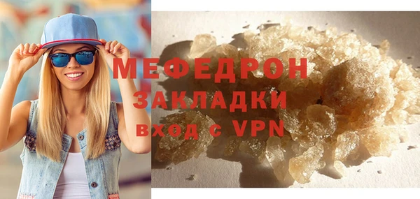 дживик Ельня