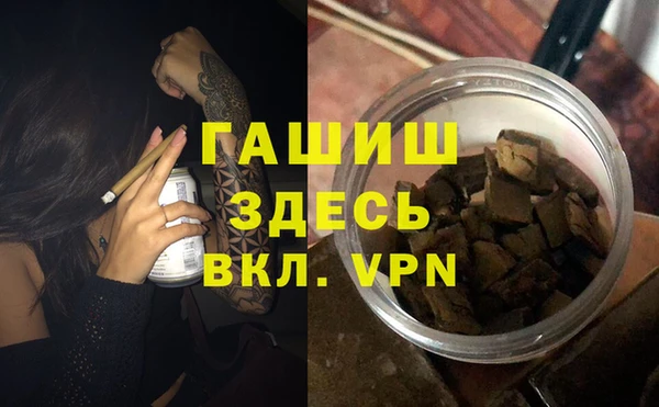 дживик Ельня
