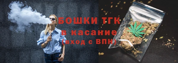 сатива Заводоуковск
