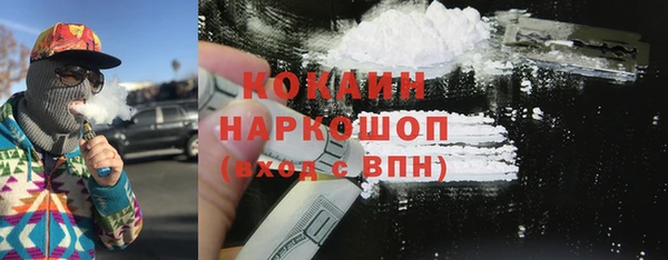 дживик Ельня
