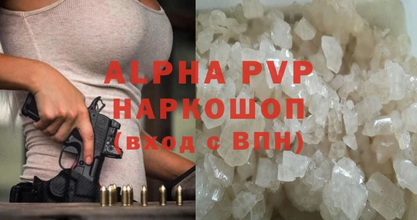 дживик Ельня