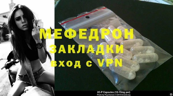 дживик Ельня