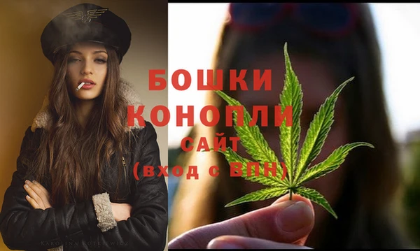 дживик Ельня