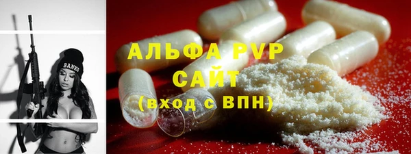 дживик Ельня