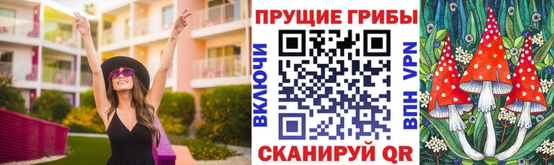купить наркоту  Нижнекамск  Галлюциногенные грибы Cubensis 