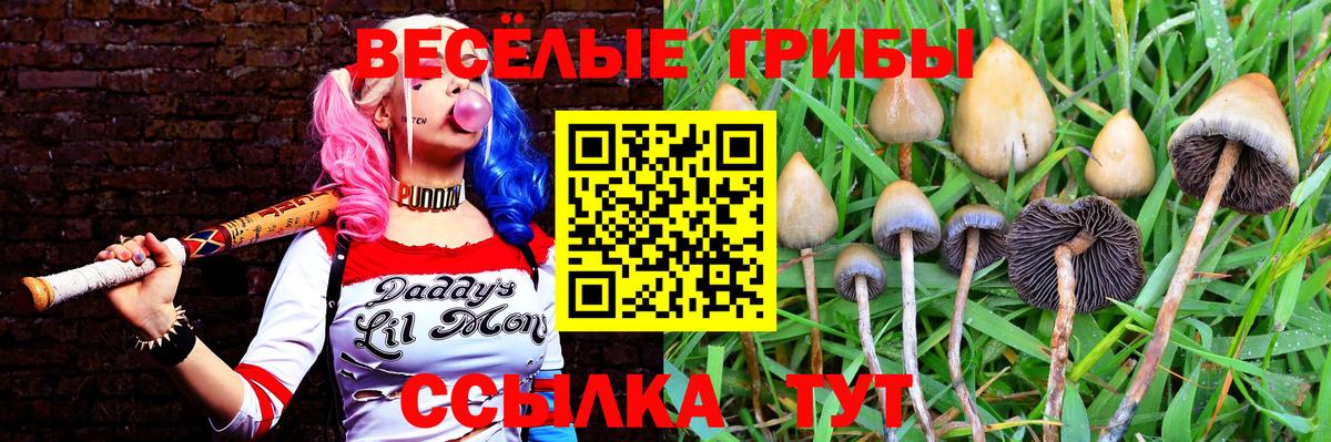 Галлюциногенные грибы Psilocybe  даркнет сайт  Нижнекамск  Псилоцибиновые грибы мухоморы  Вход с VPN 